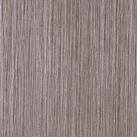 ST6019
