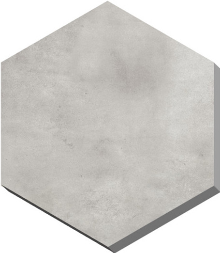 V6004