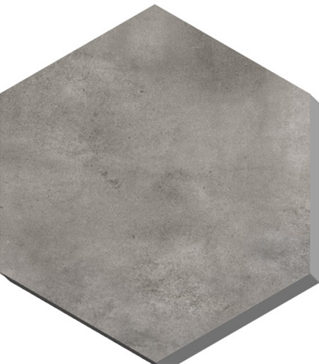 V6005