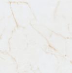 YP6007